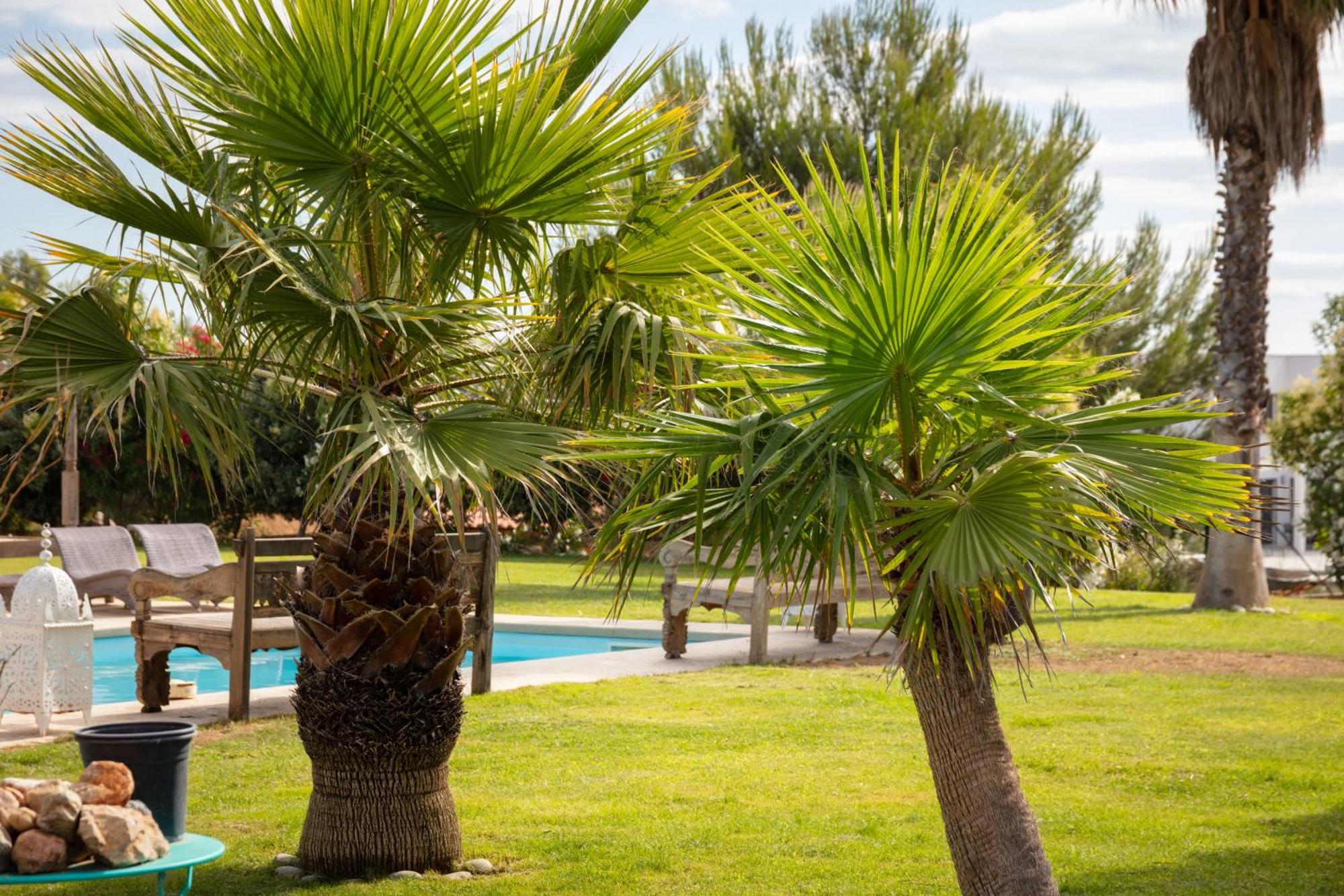 Escapades Lointaines Bed & Breakfast Perpignan Exterior photo